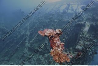 Photo Reference of Shipwreck Sudan Undersea 0004